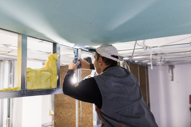 Best Types of Insulation in Marshall, MN