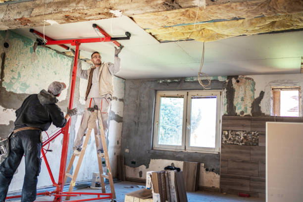 Best Insulation Maintenance and Repair in Marshall, MN