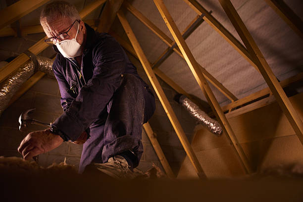 Best Insulation Installation Services in Marshall, MN